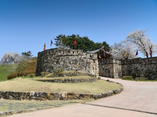 ���� ����4