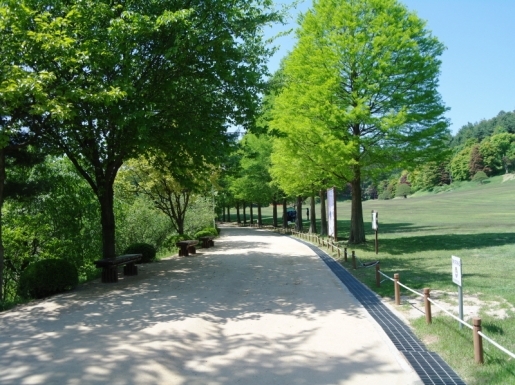 ���� ����3