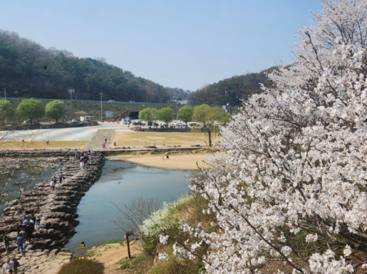 ���� ����5