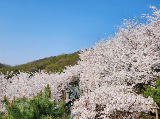 ���� ����6