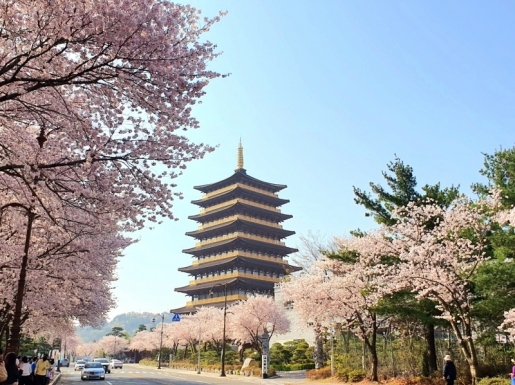 ���� ����6