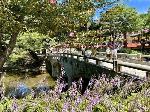 ���� ����3