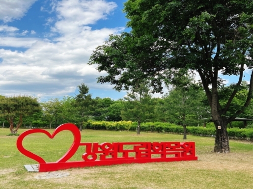 ���� ����5