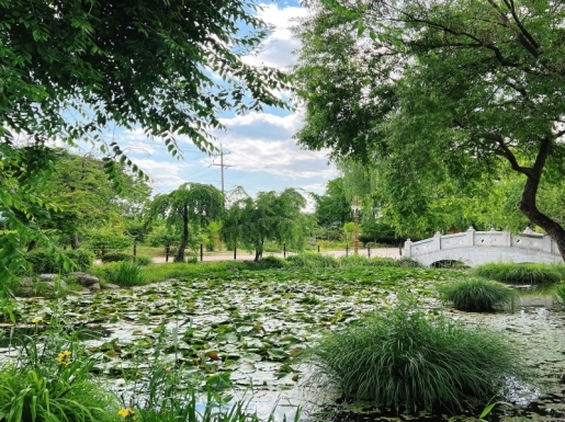 ���� ����5