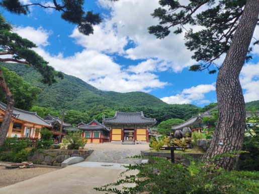 ���� ����5