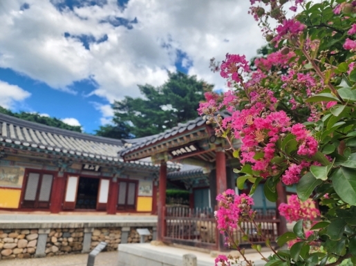 ���� ����7