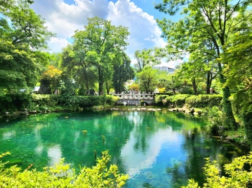 ���� ����5