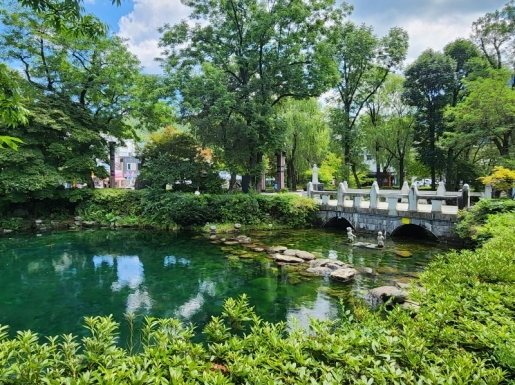 ���� ����3