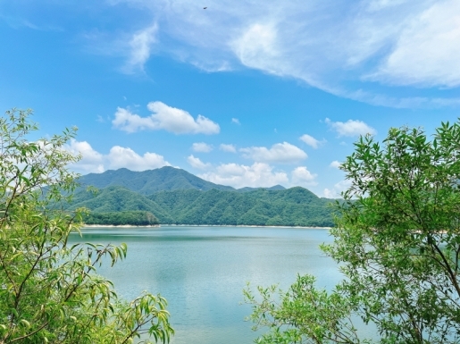 ���� ����6