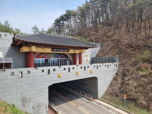 ���� ����6