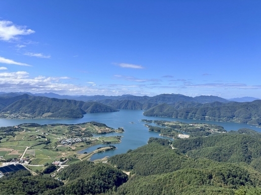 ���� ����2