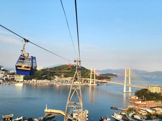 ���� ����6