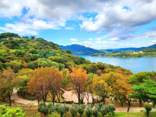 ���� ����5