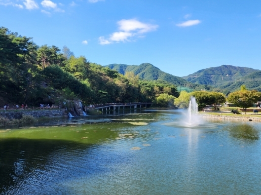 ���� ����3