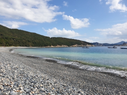 ���� ����6