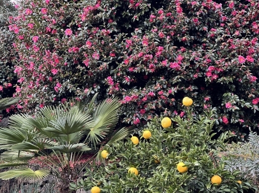 ���� ����5