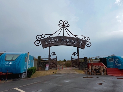 ���� ����6