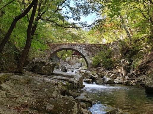 ���� ����4