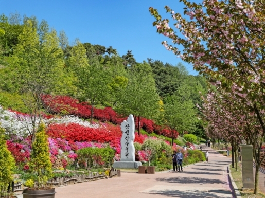 ���� ����2