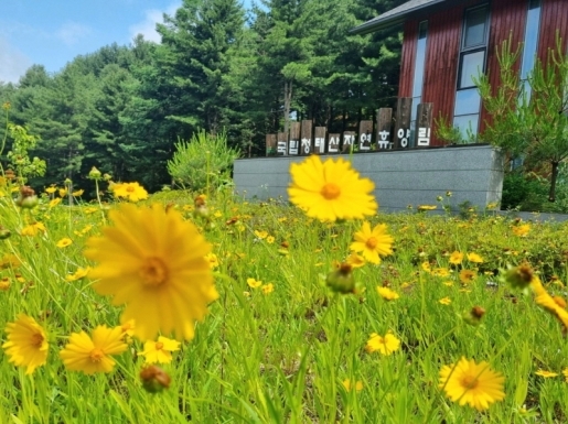 ���� ����2