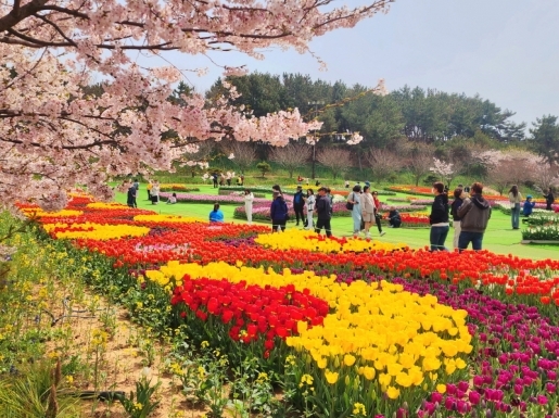 ���� ����5