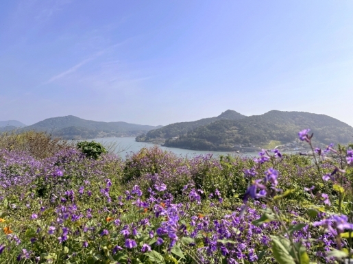 ���� ����3