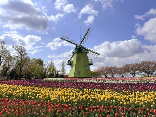 ���� ����2