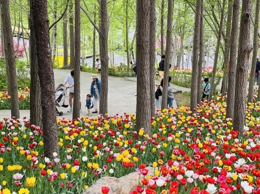 ���� ����4