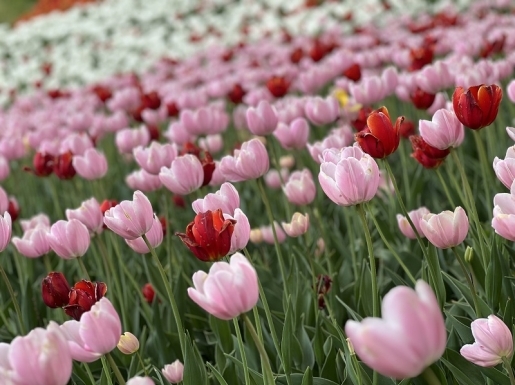 ���� ����3