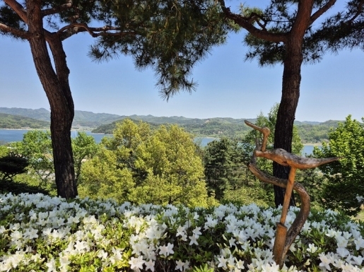 ���� ����2