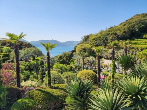 ���� ����2