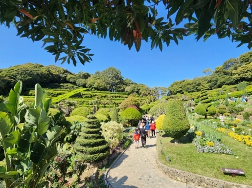 ���� ����2