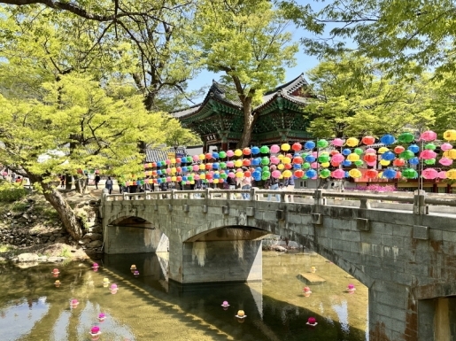 ���� ����4