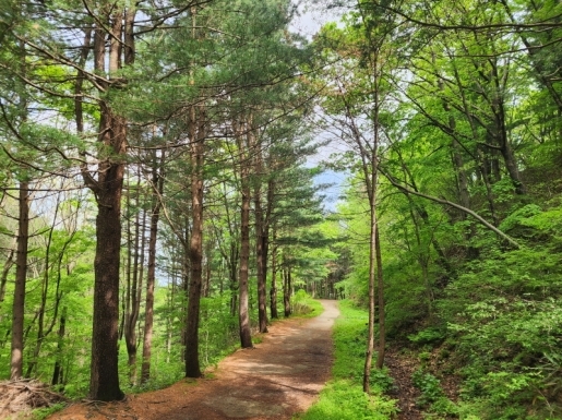 ���� ����3