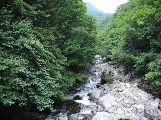 ���� ����5