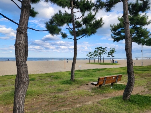 ���� ����4