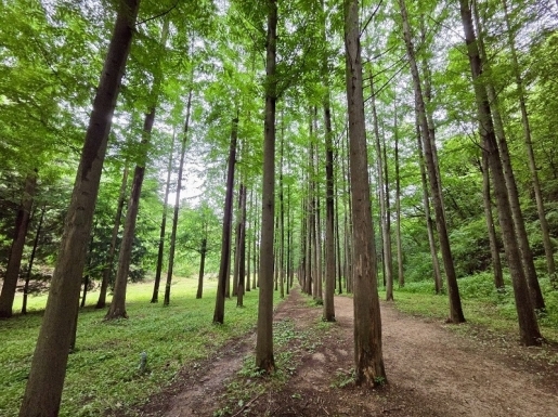 ���� ����6