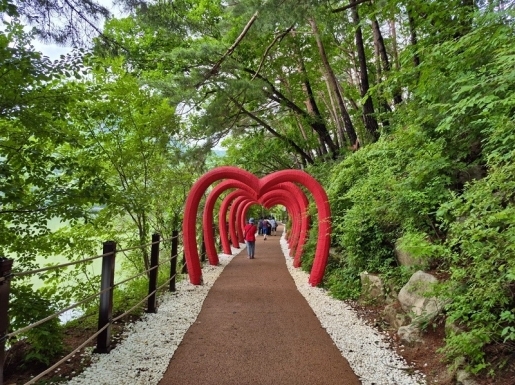 ���� ����7