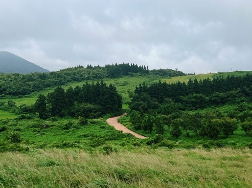 ���� ����3