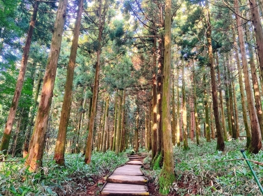 ���� ����5