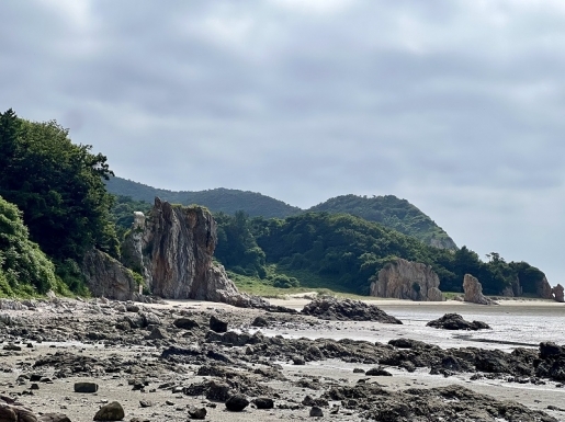 ���� ����5