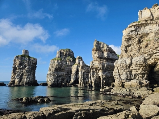 ���� ����3