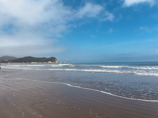 ���� ����5