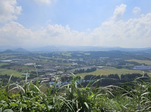 ���� ����4