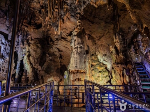 ���� ����4