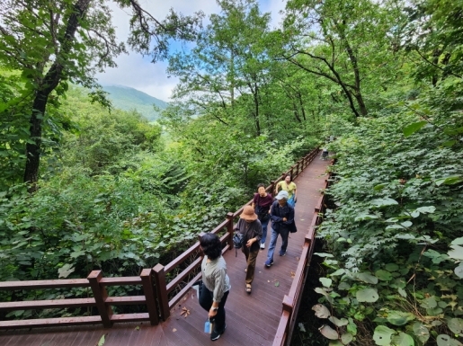 ���� ����5