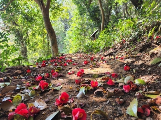 ���� ����2