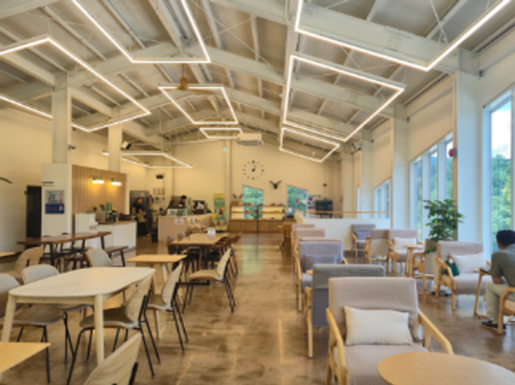 ���� ����3