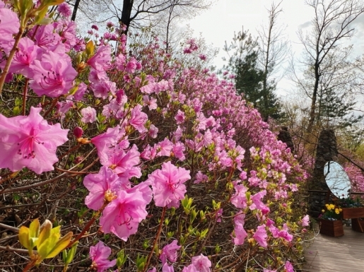 ���� ����2