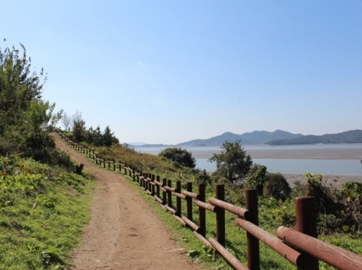 ���� ����5